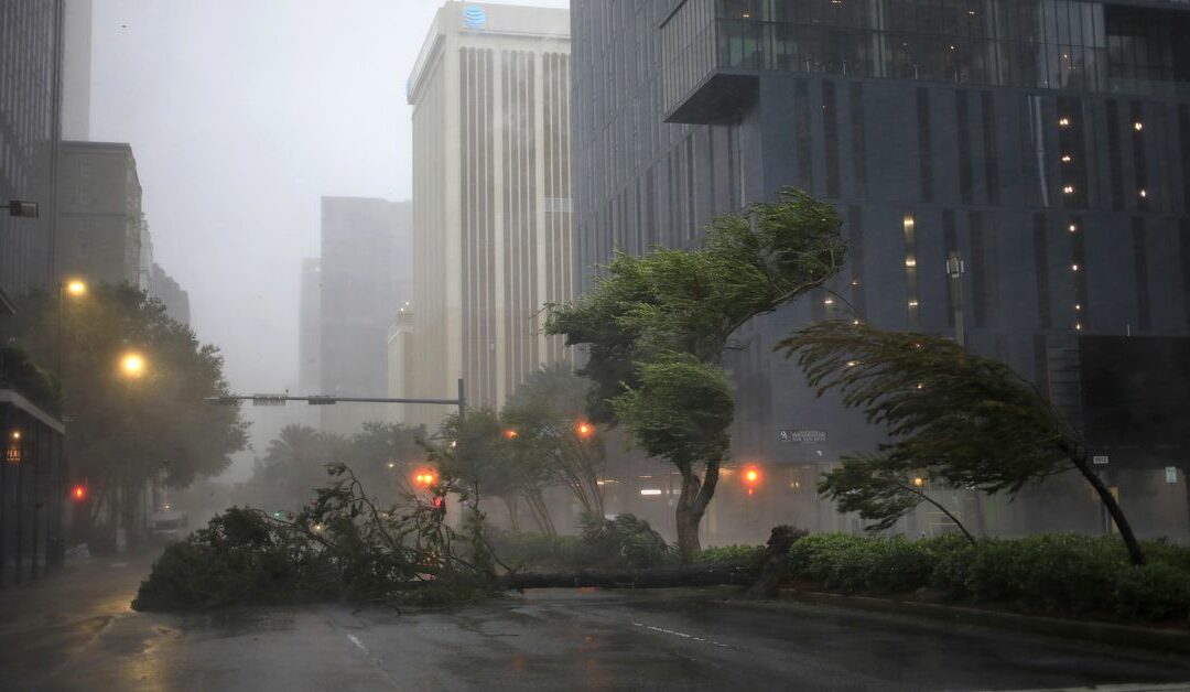 Trees sway in the wind from Hurricane Ida in downtown New Orleans, Louisiana, on August 29th, 2021. Image: Luke Sharrett/Bloomberg via Getty Images