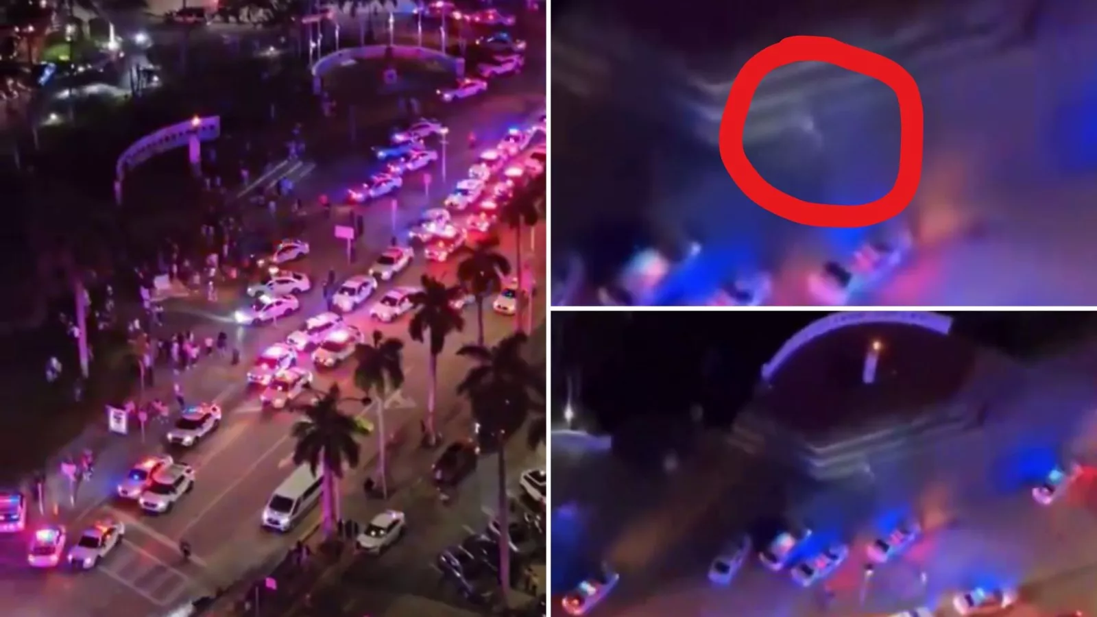 Miami Alien ‘Creature’ Cops Respond To A Videocapture Of A Mysterious Image