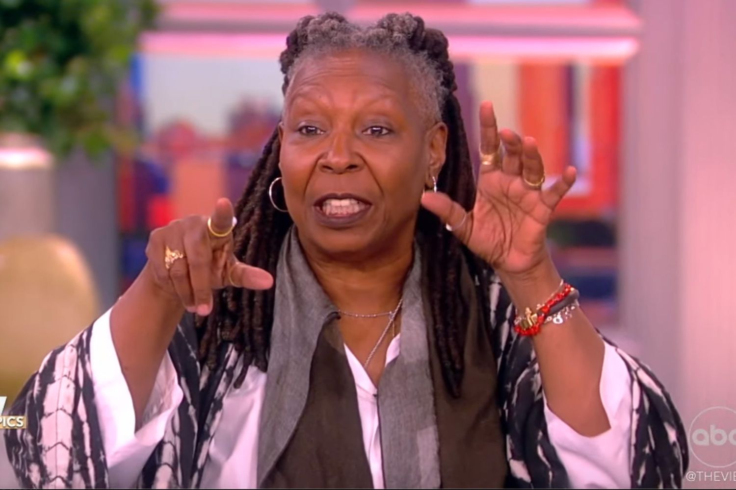 Whoopi Goldberg Stops 'The View' To Scold An Audience Member For Recording The Show - Radiant Media