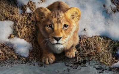 The First Trailer For The Live-Action Lion King Prequel Has Just Dropped